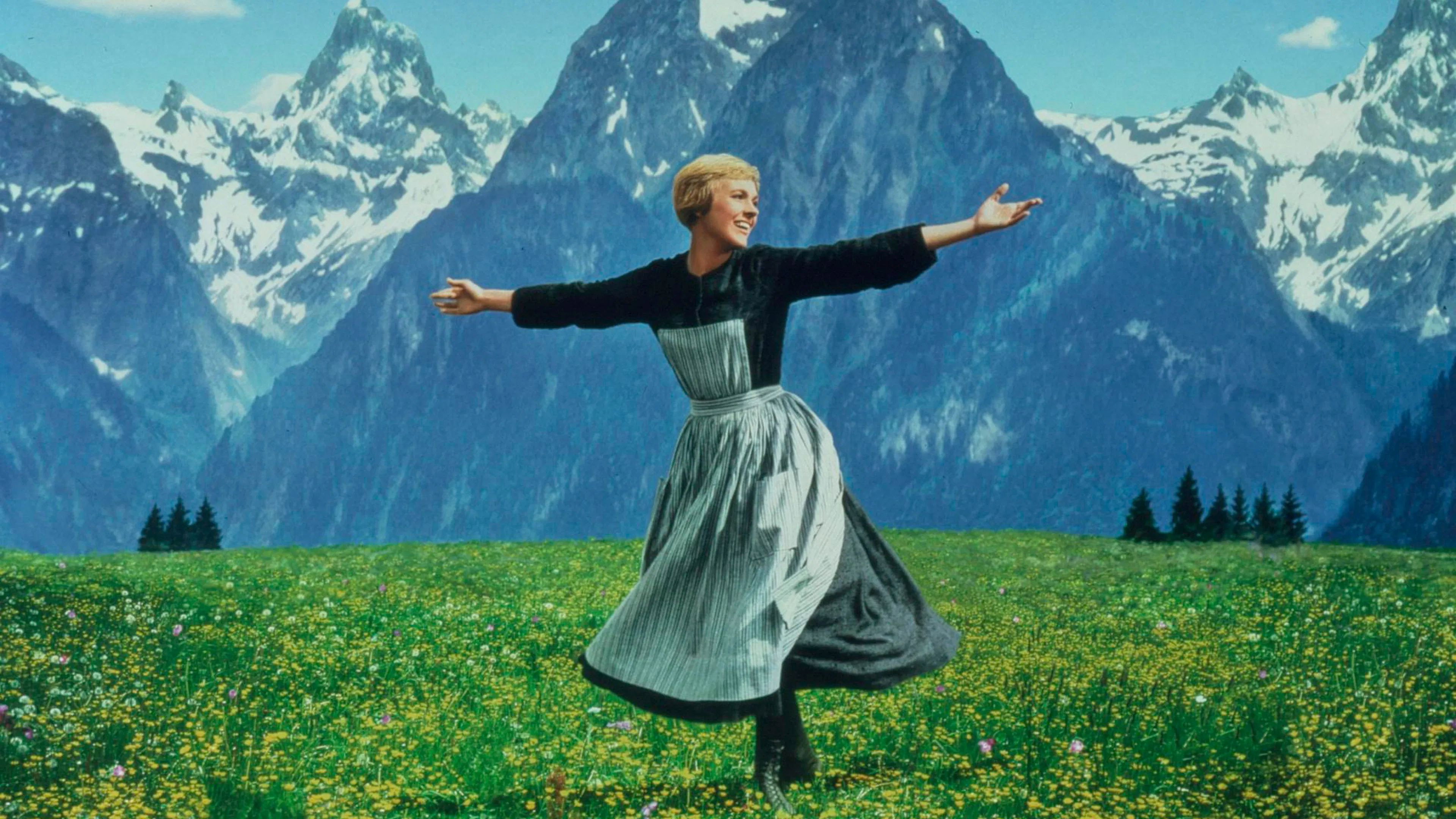 Backdrop