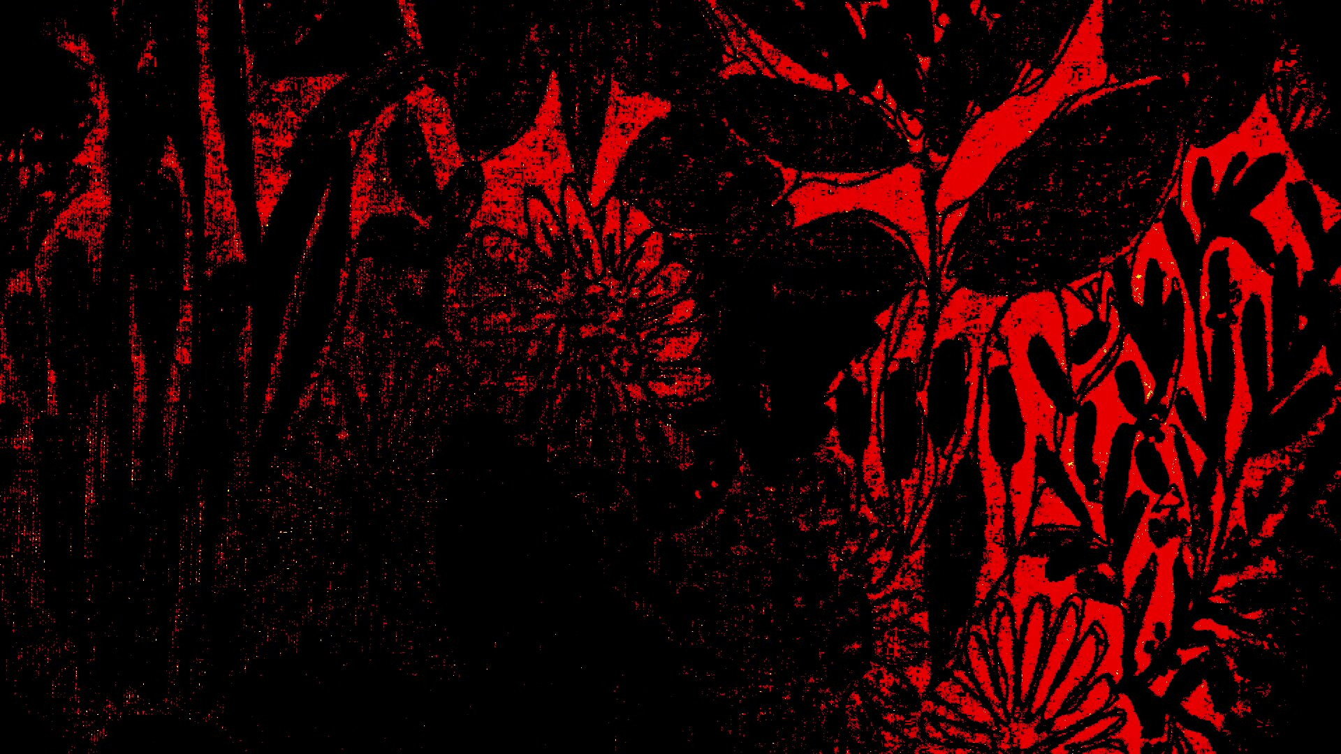 Backdrop