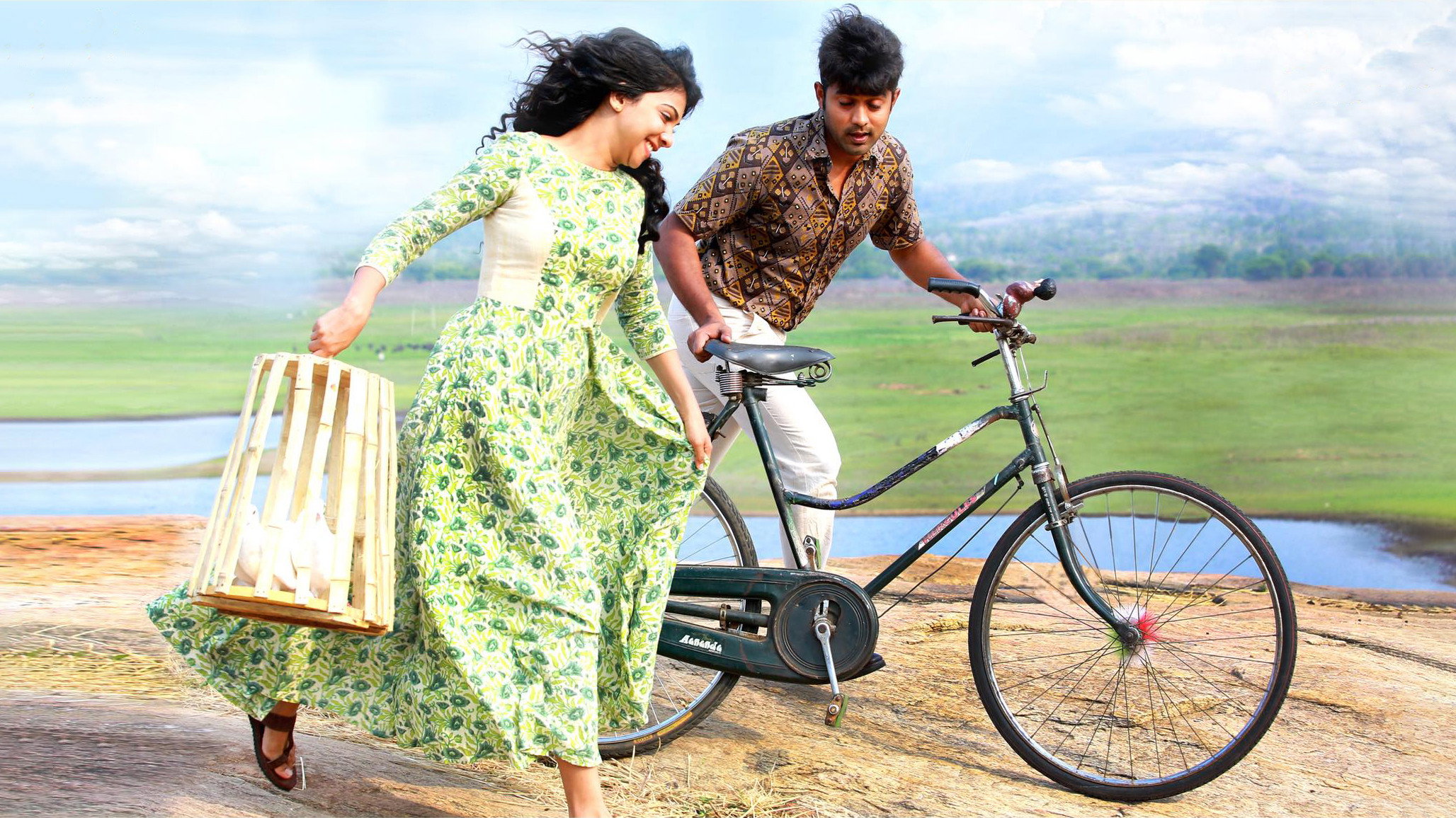 Backdrop