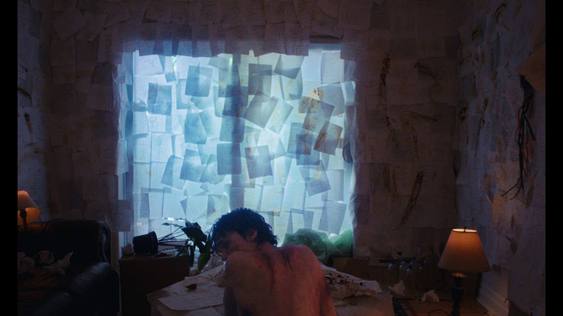 Backdrop