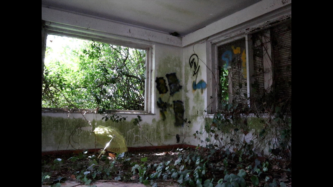 Backdrop