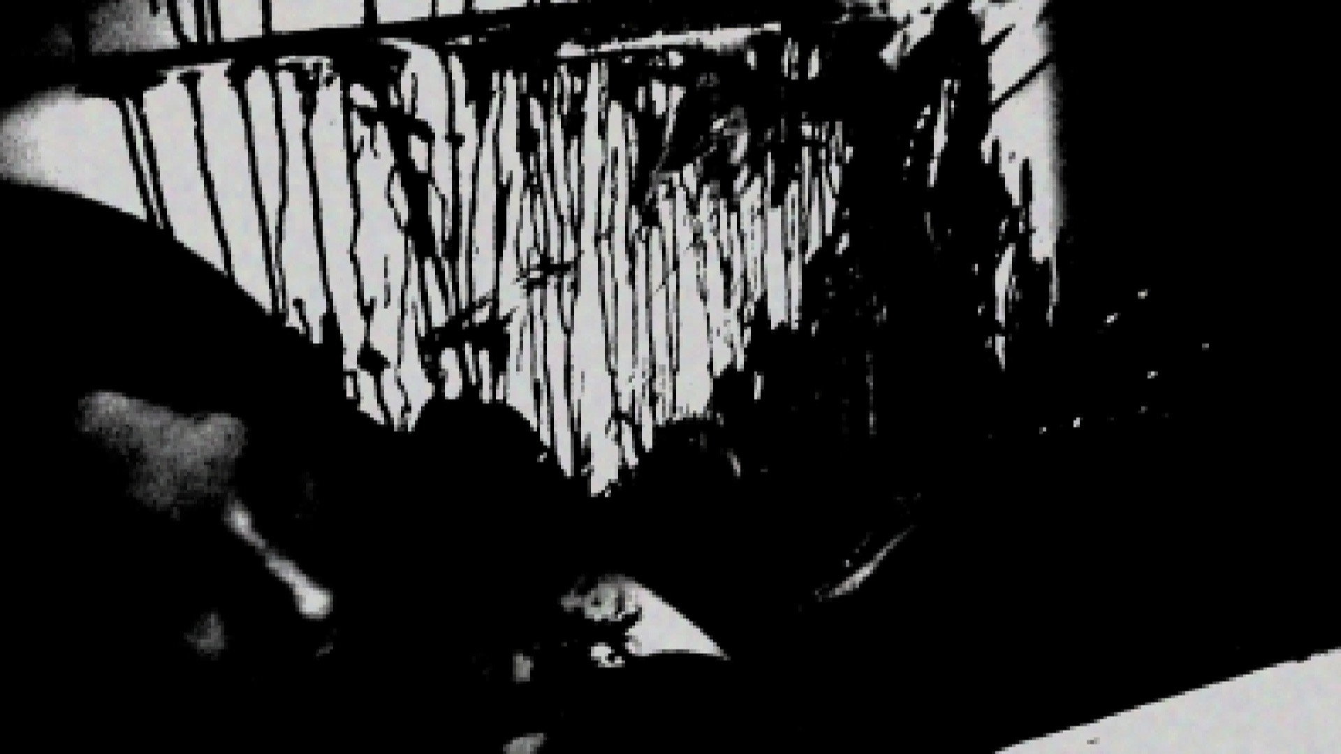 Backdrop