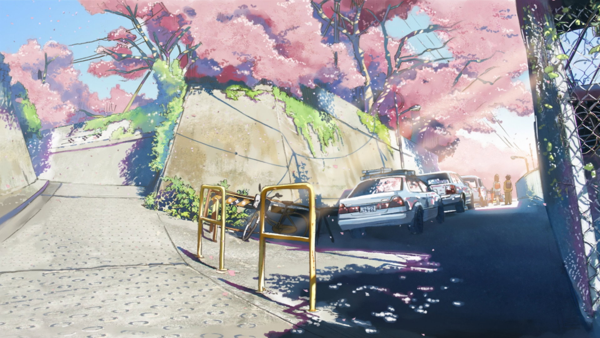 Backdrop