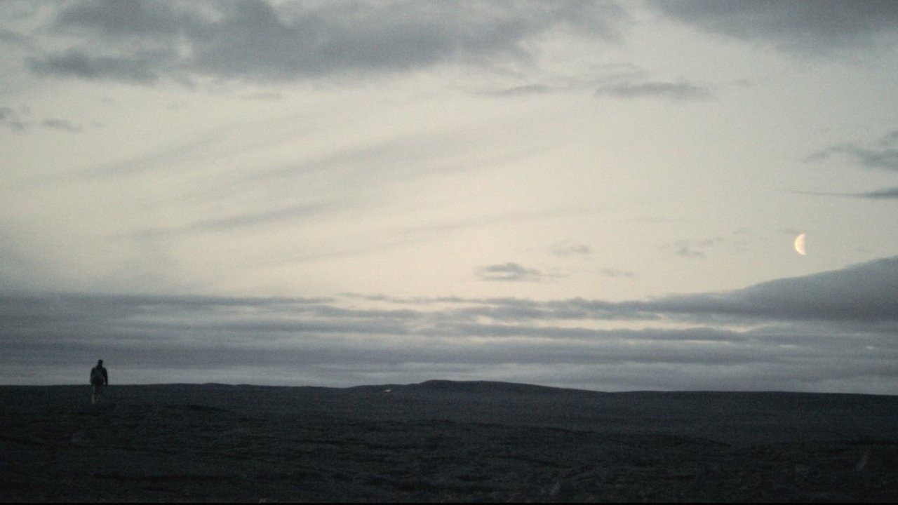 Backdrop