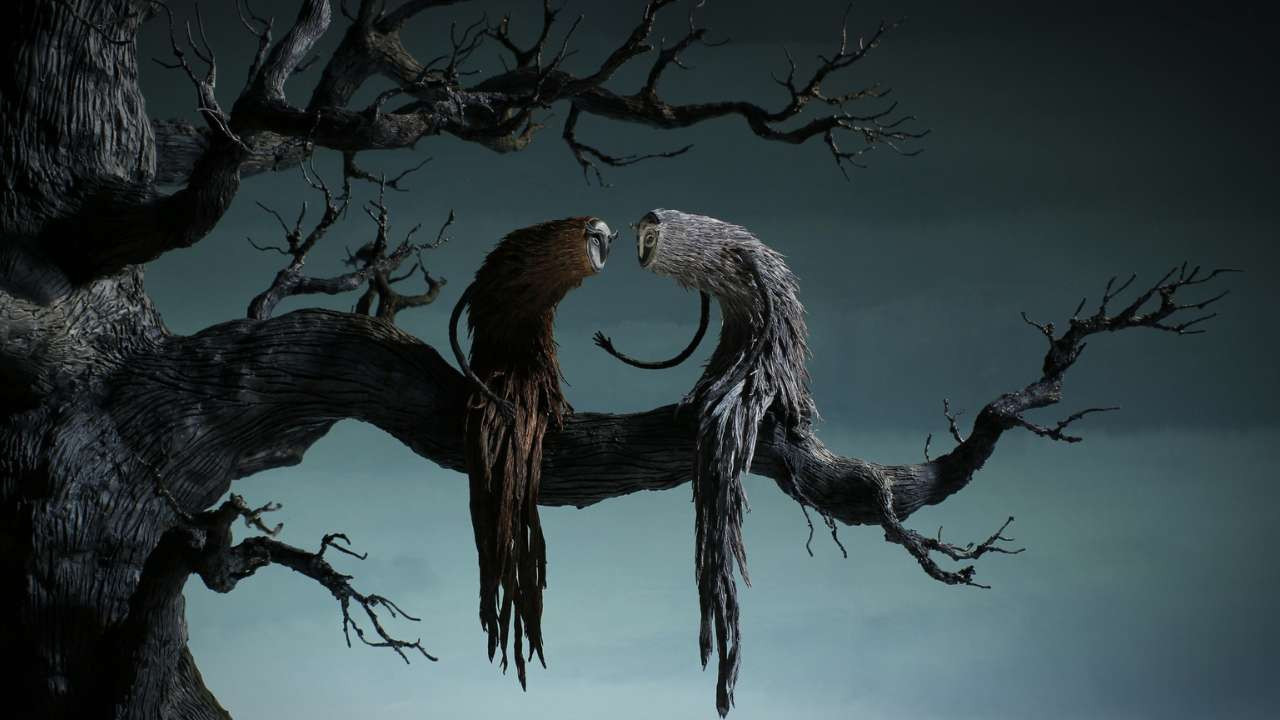 Backdrop