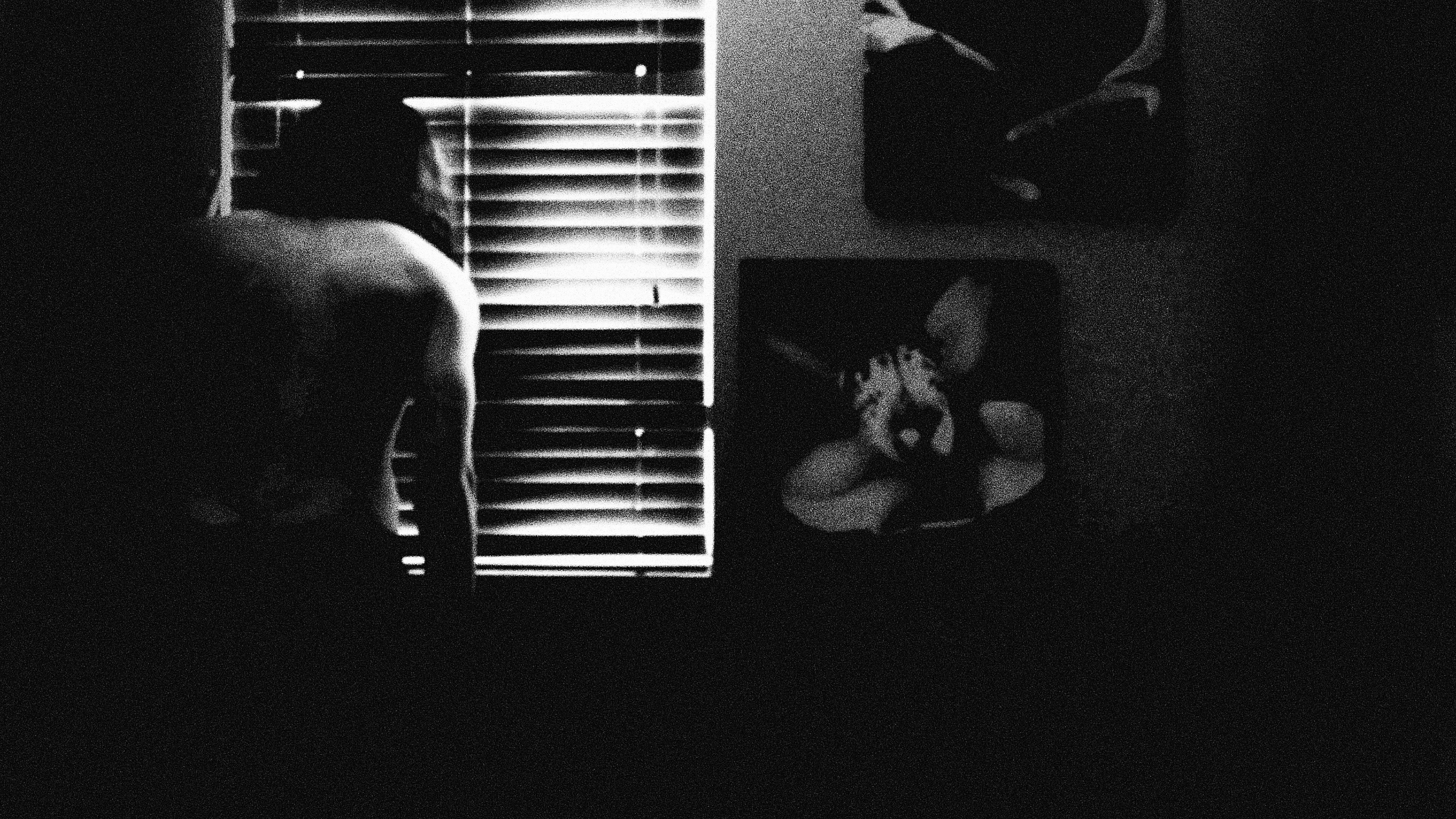 Backdrop