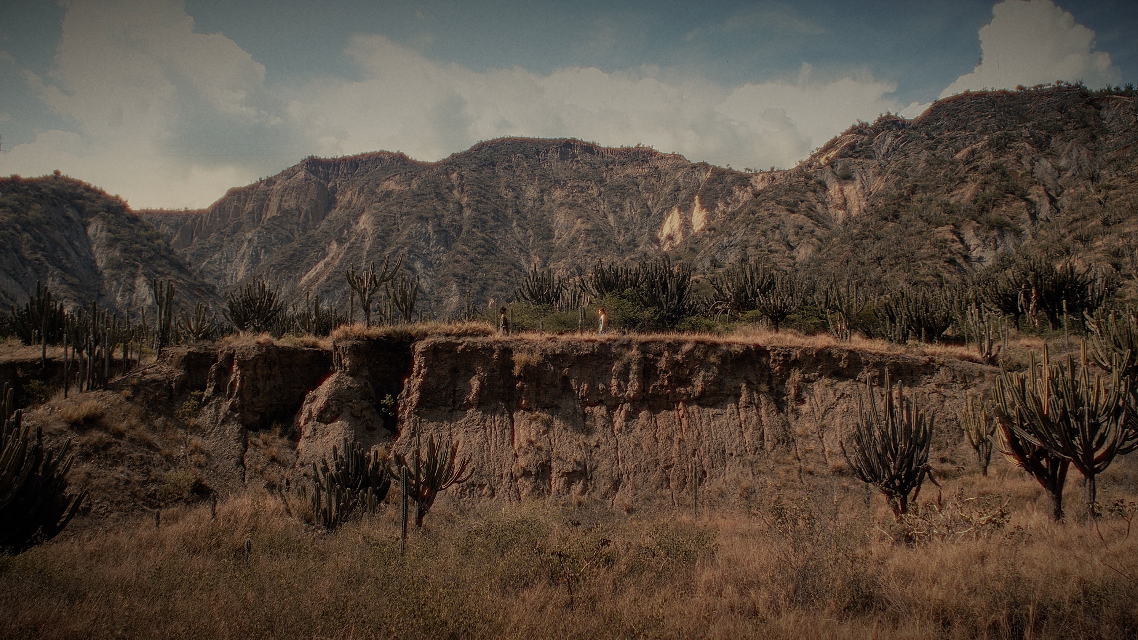 Backdrop