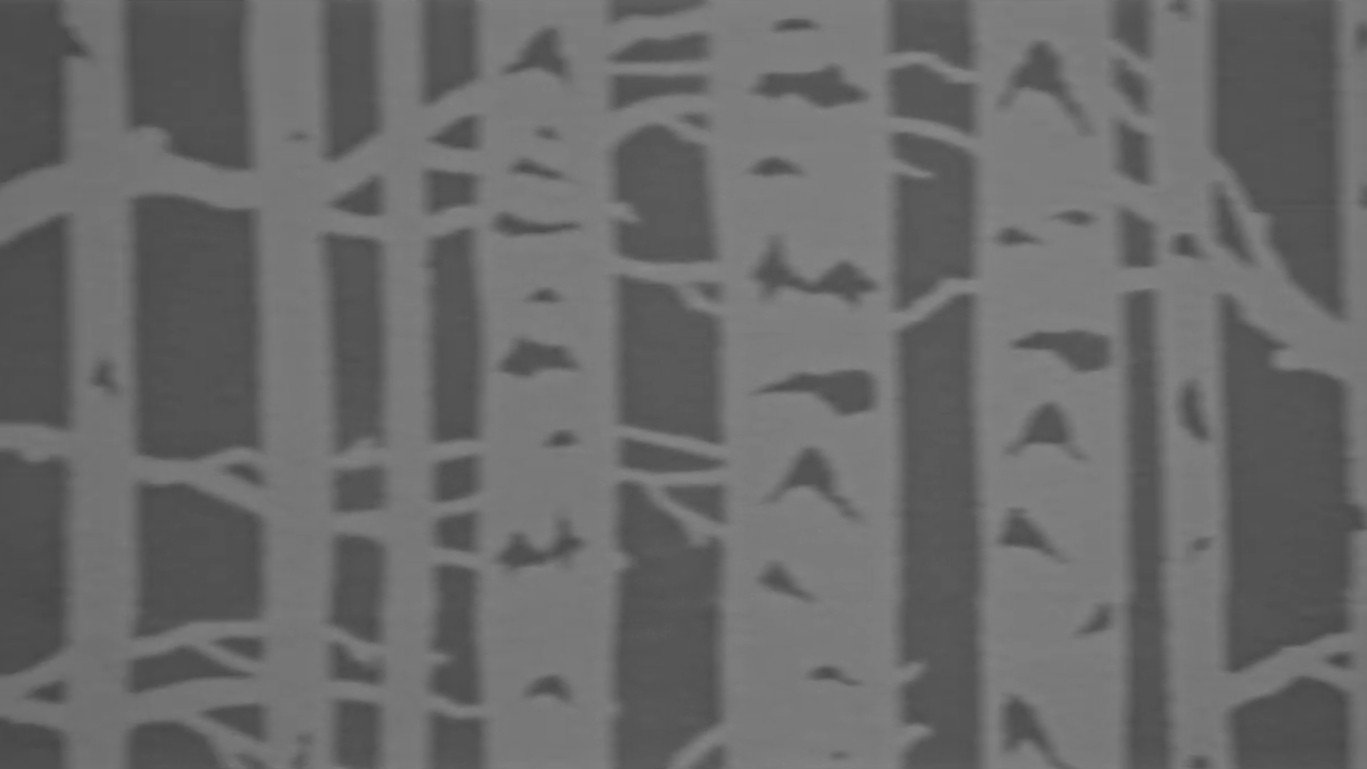 Backdrop