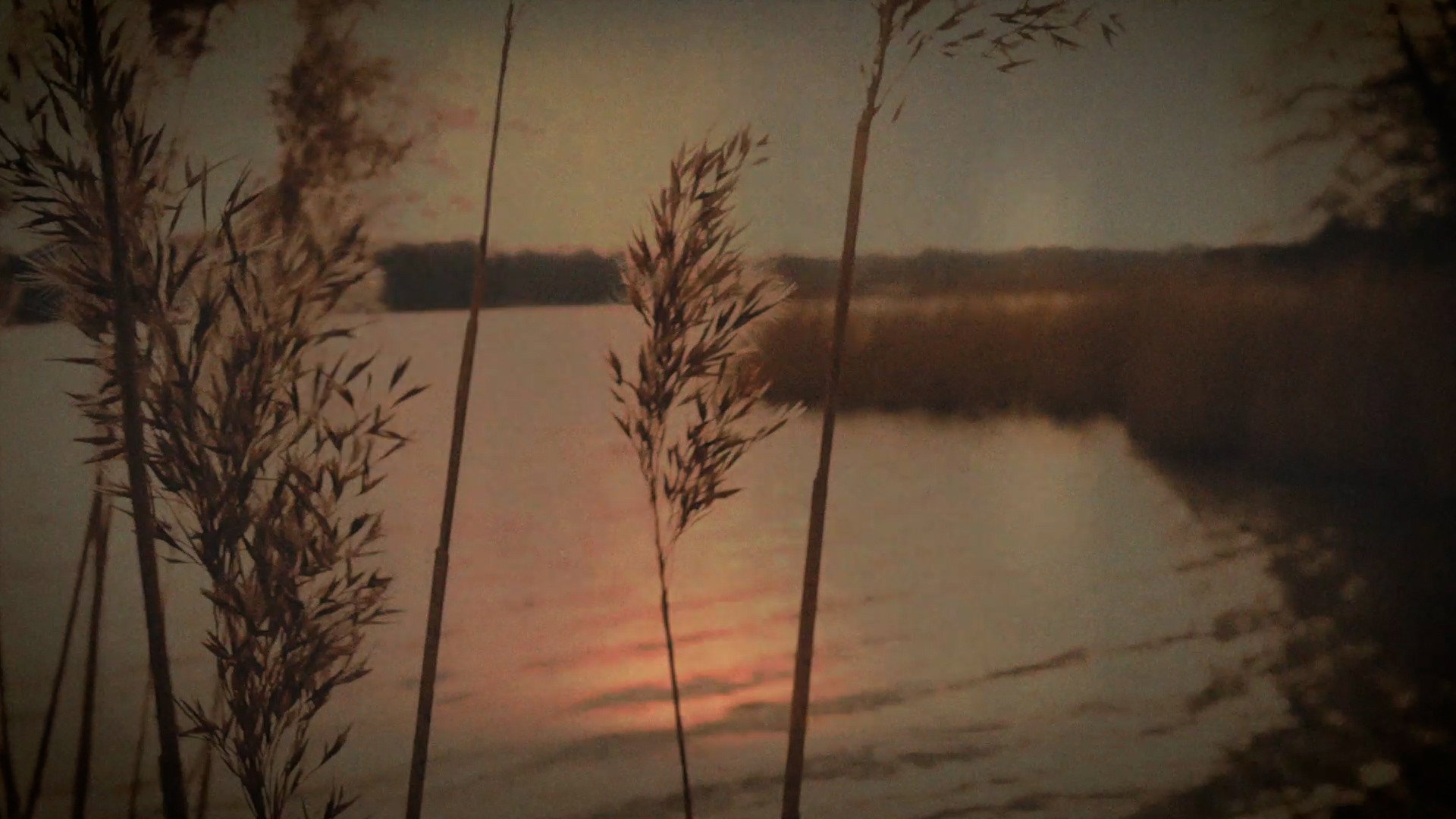 Backdrop