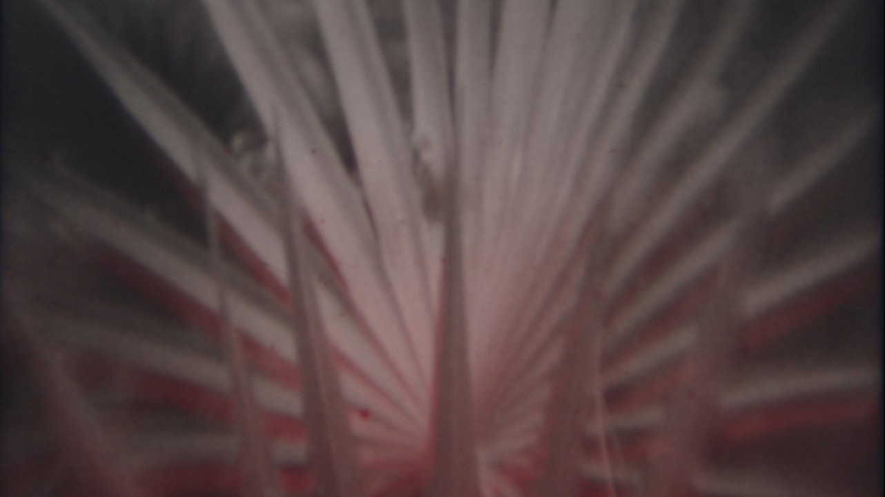 Backdrop