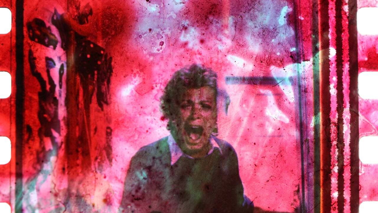 Backdrop