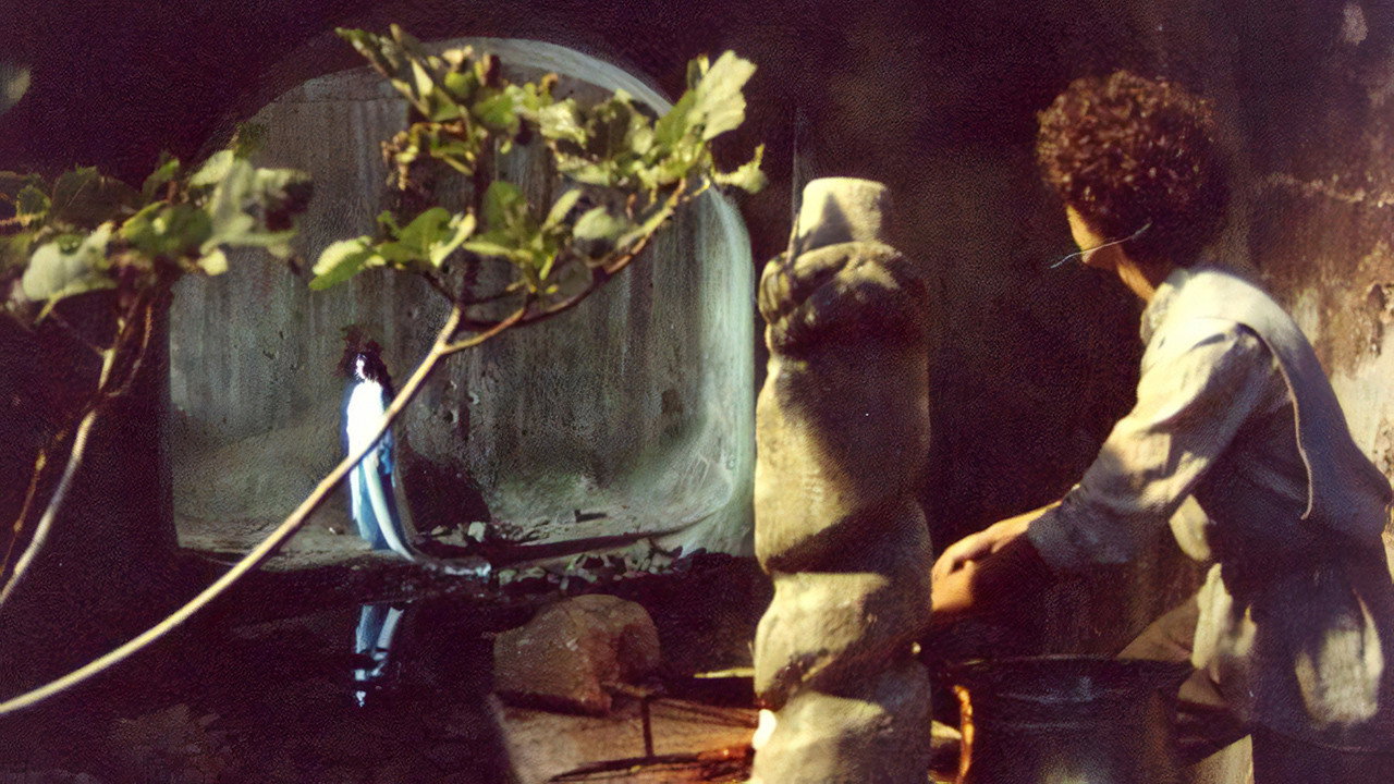 Backdrop