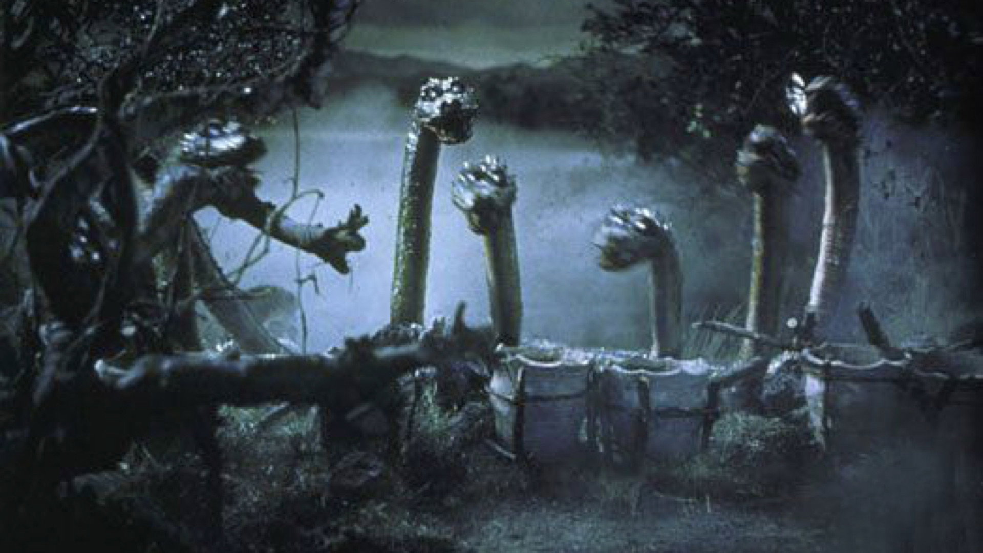 Backdrop