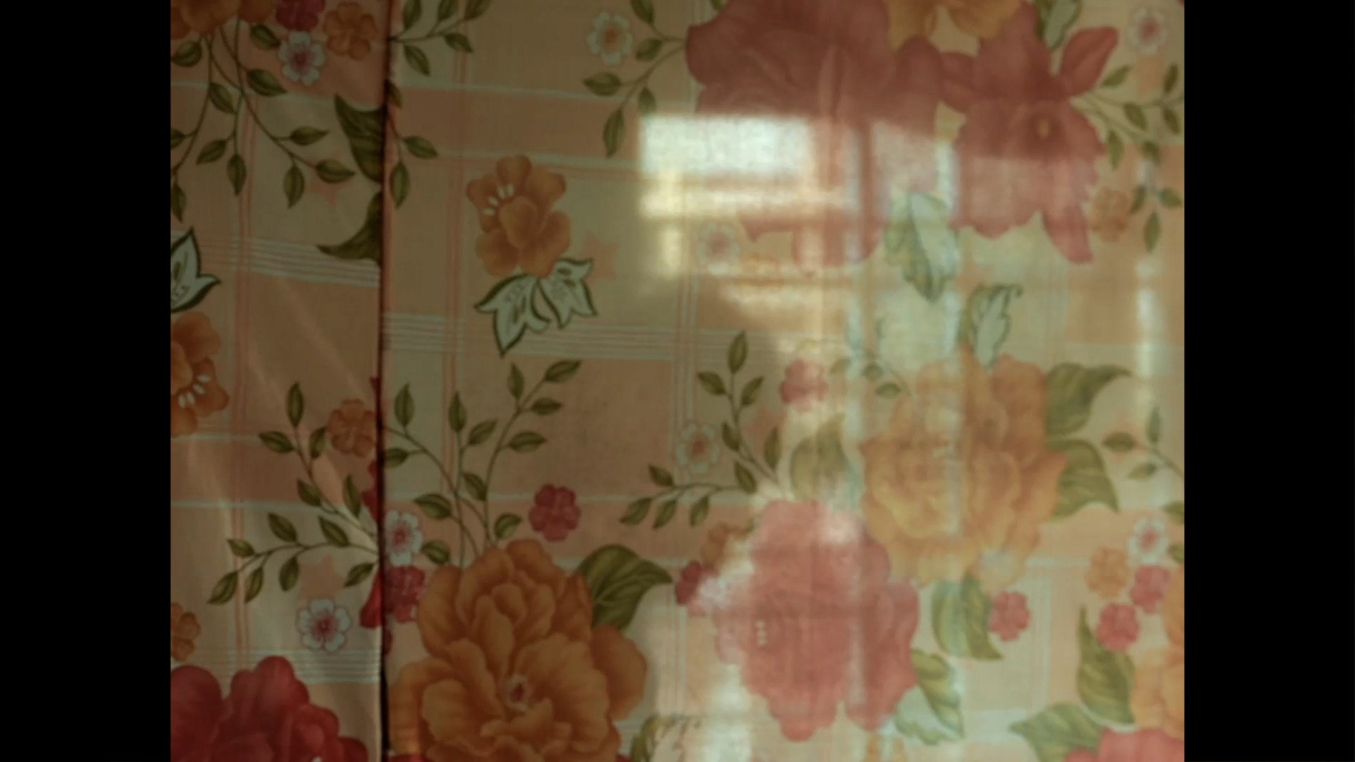 Backdrop