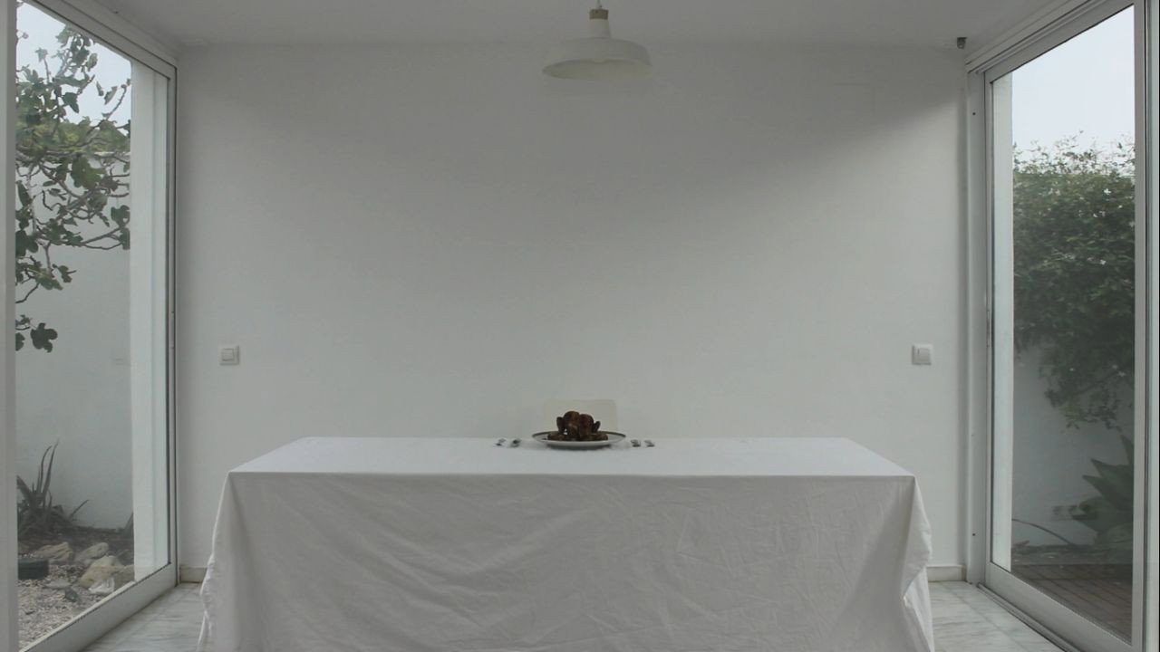 Backdrop