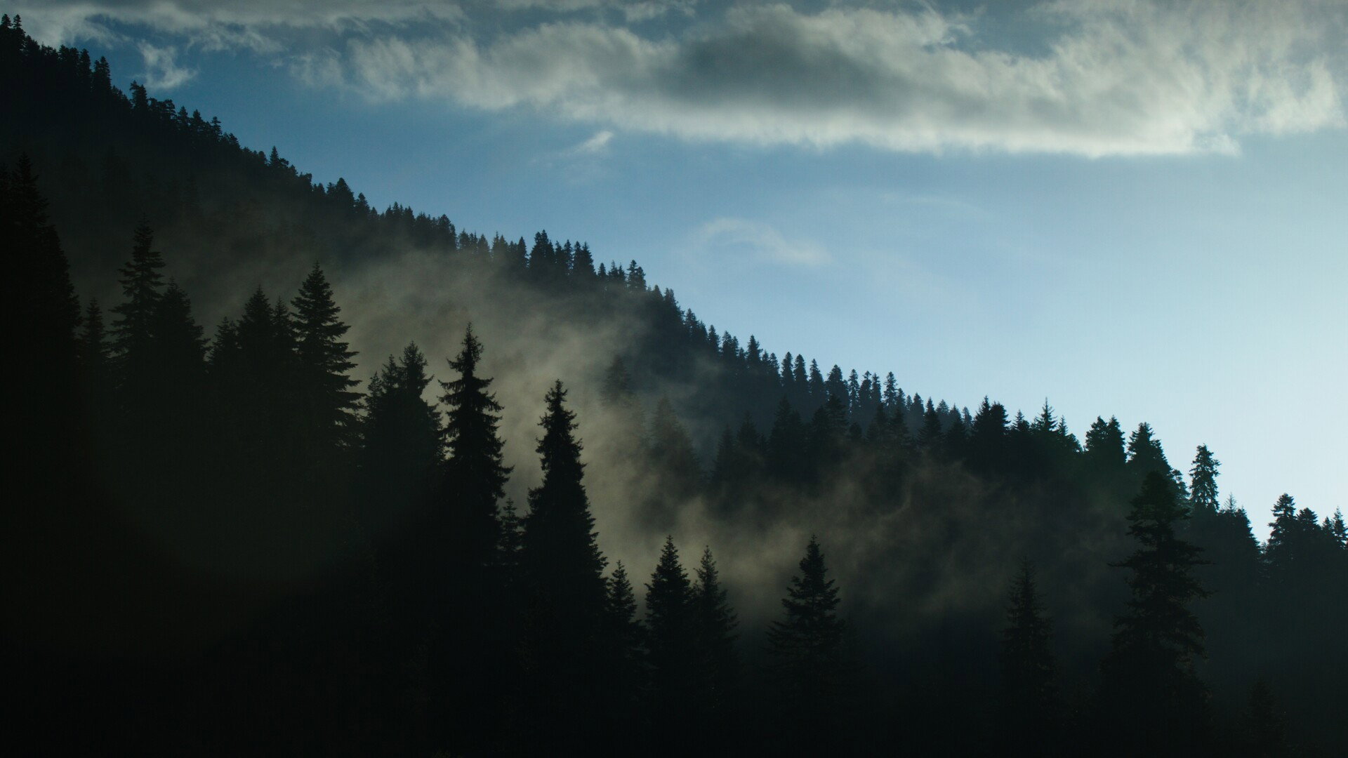 Backdrop
