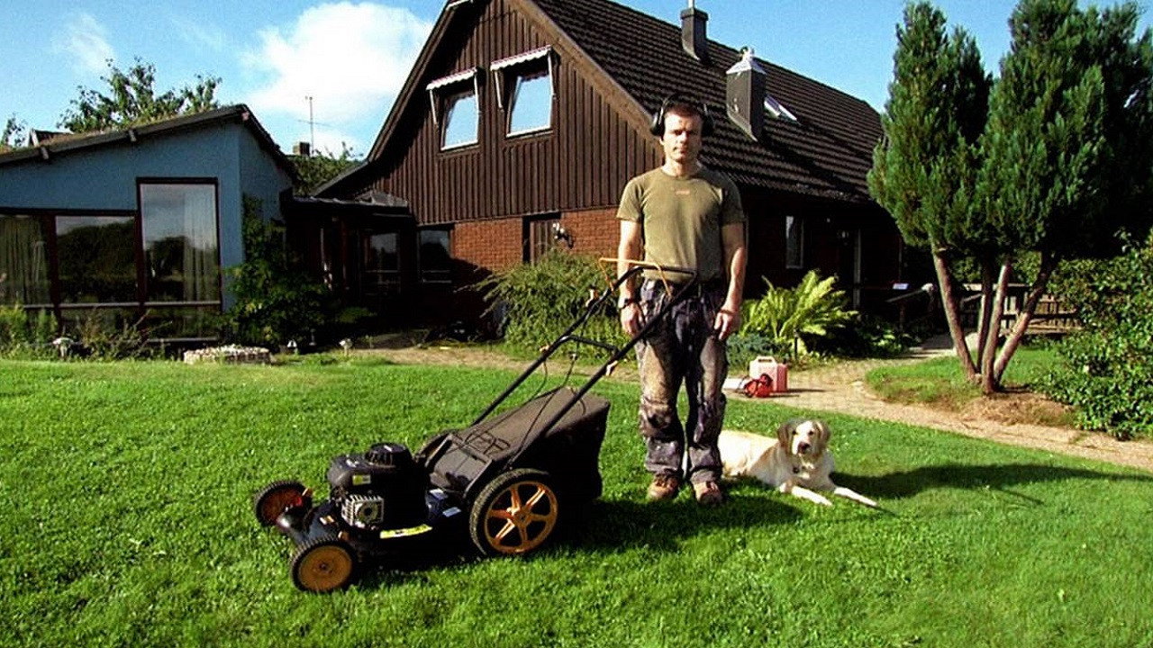 Backdrop
