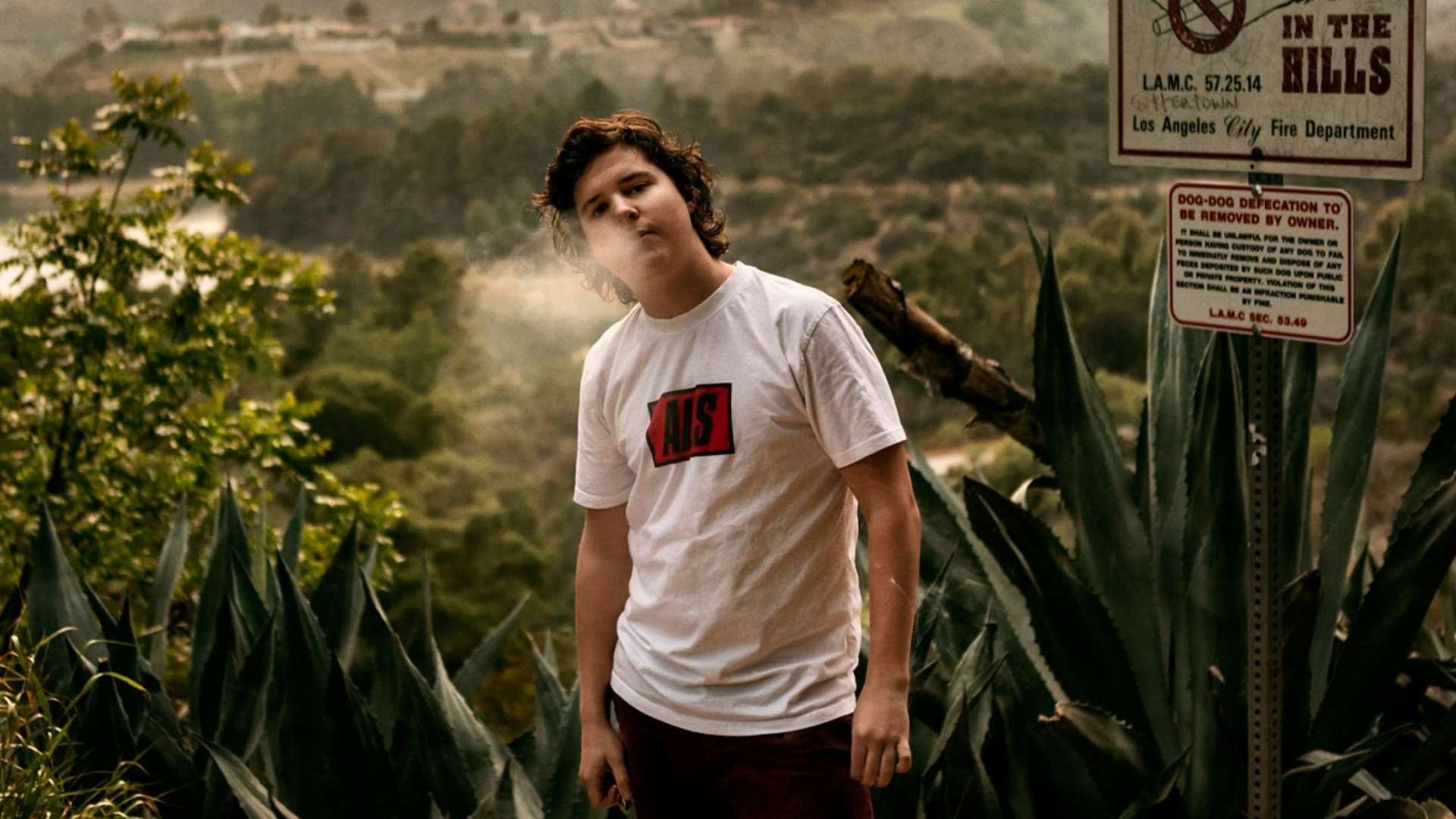 Backdrop