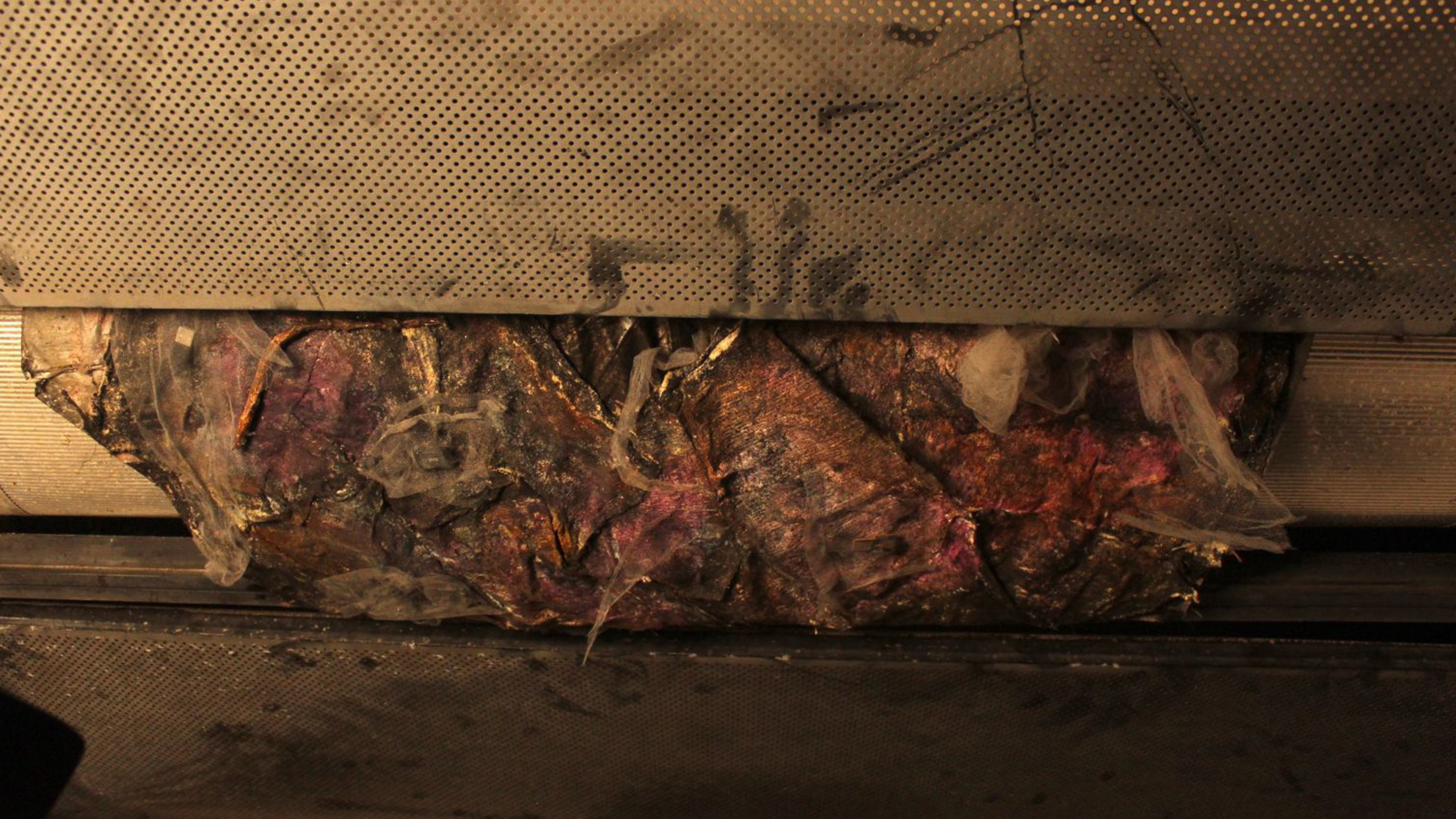 Backdrop