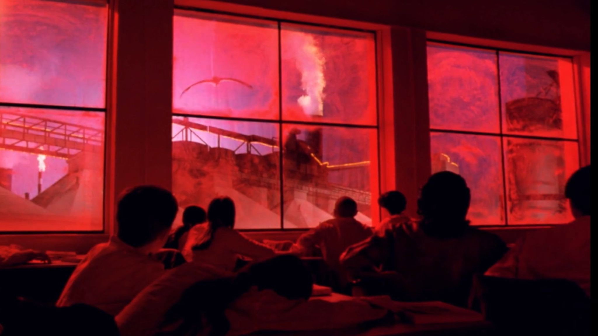 Backdrop