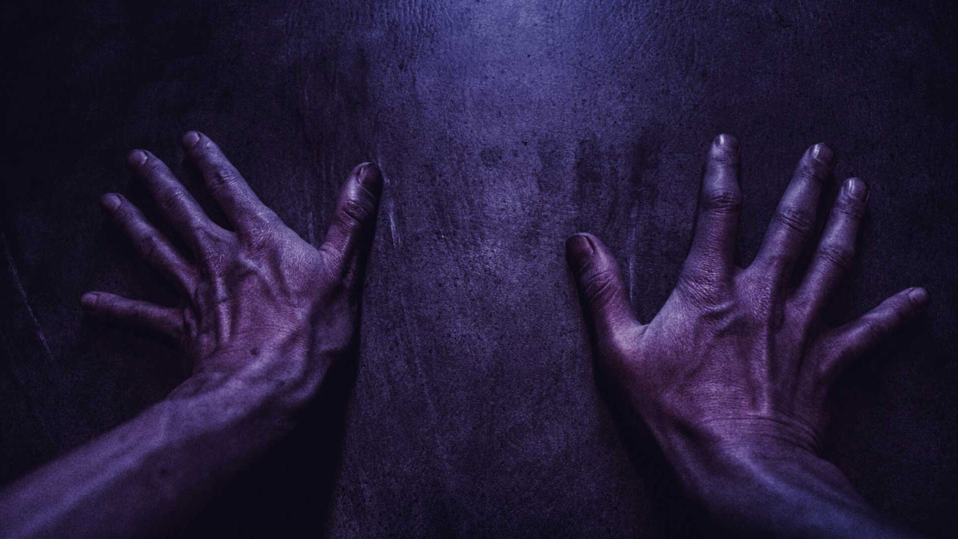 Backdrop