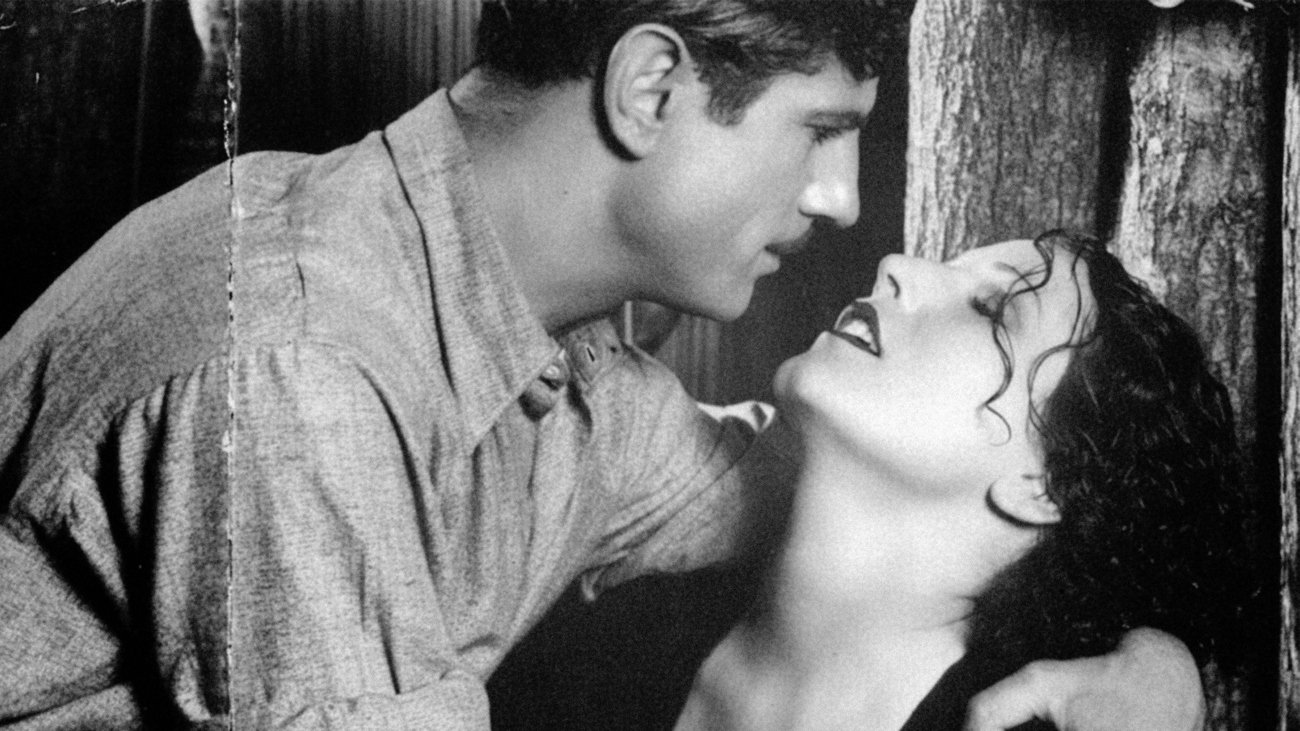 Backdrop