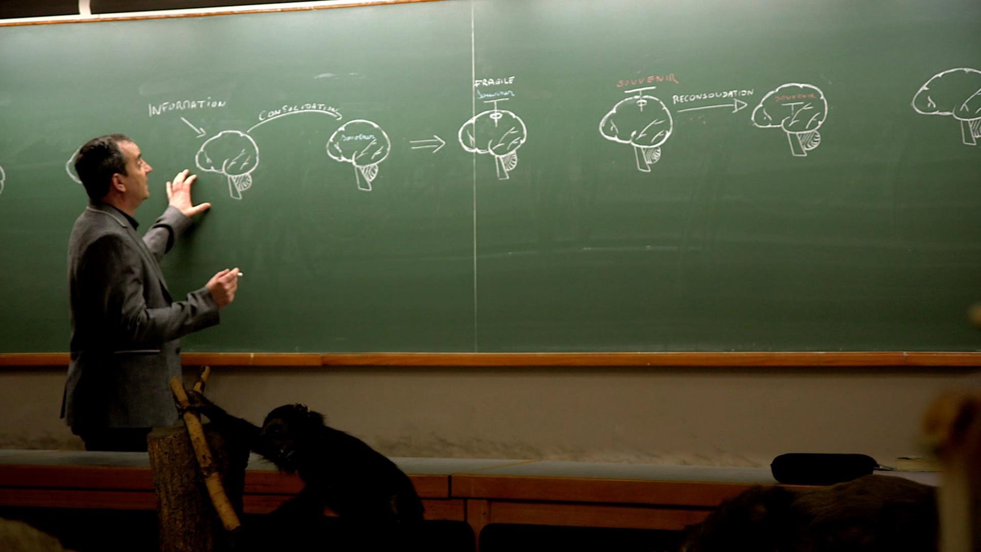 Backdrop