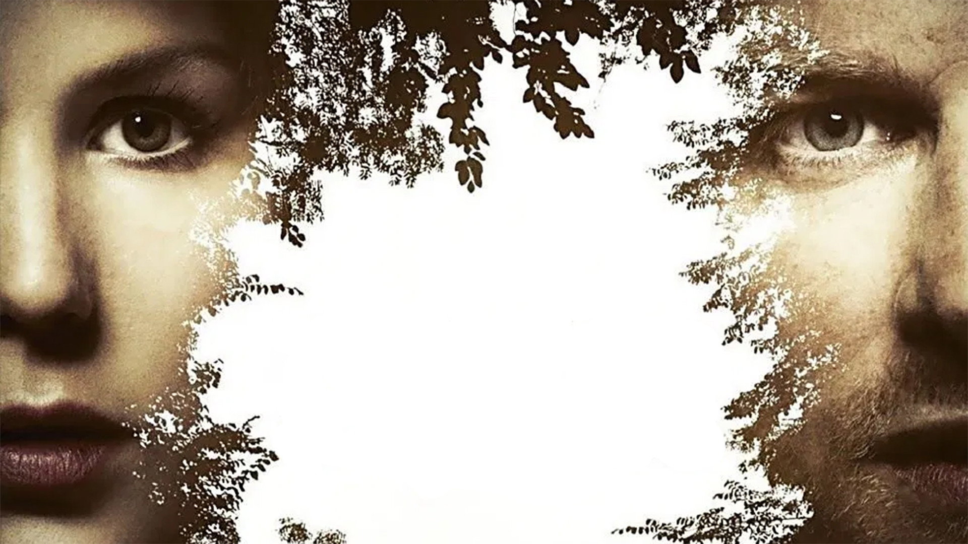 Backdrop