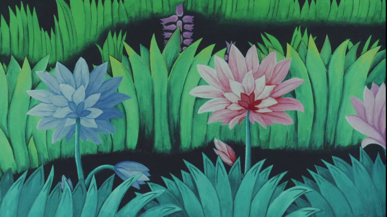 Backdrop