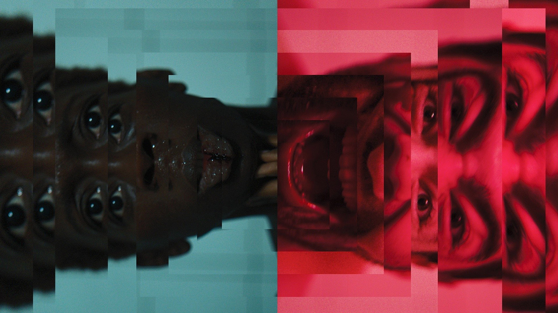 Backdrop
