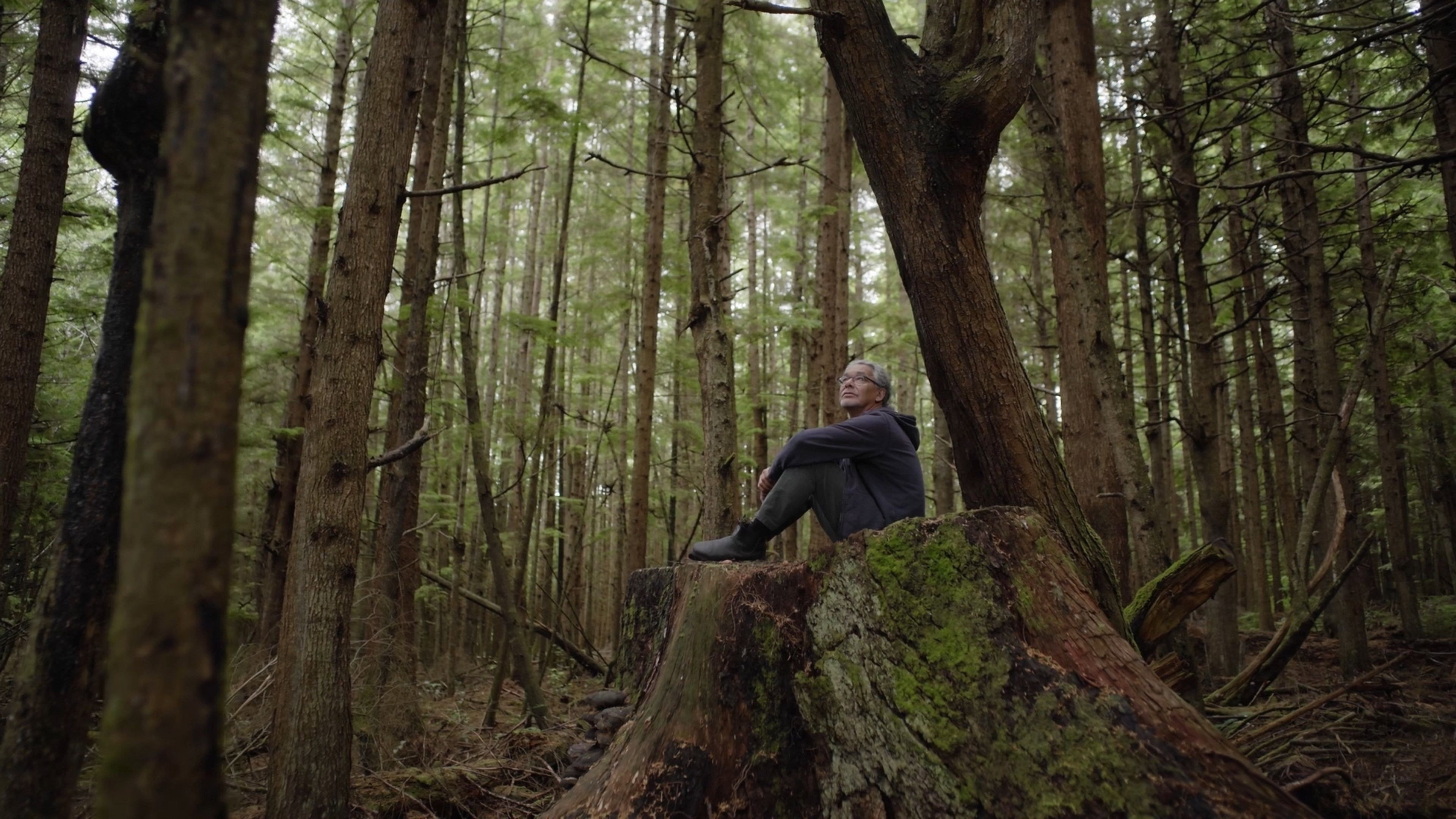 Backdrop