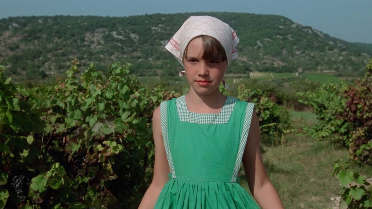 Backdrop