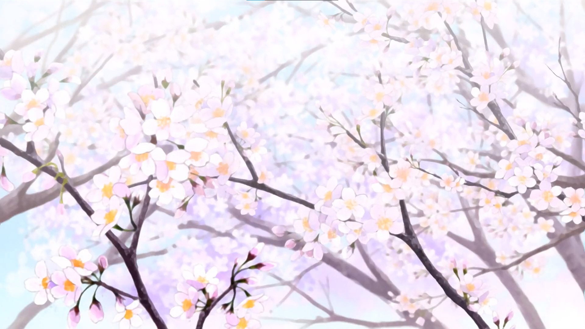 Backdrop