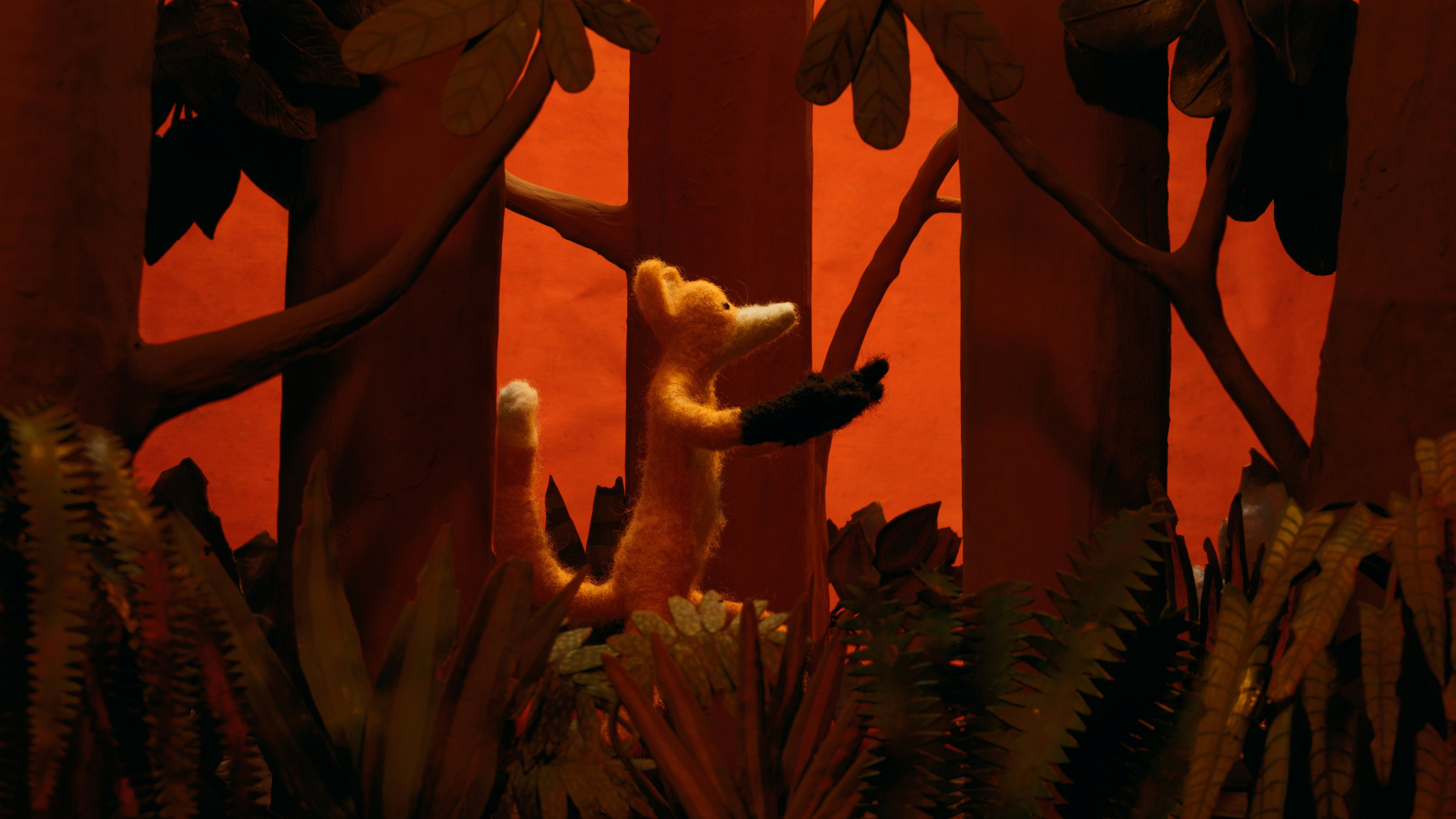 Backdrop
