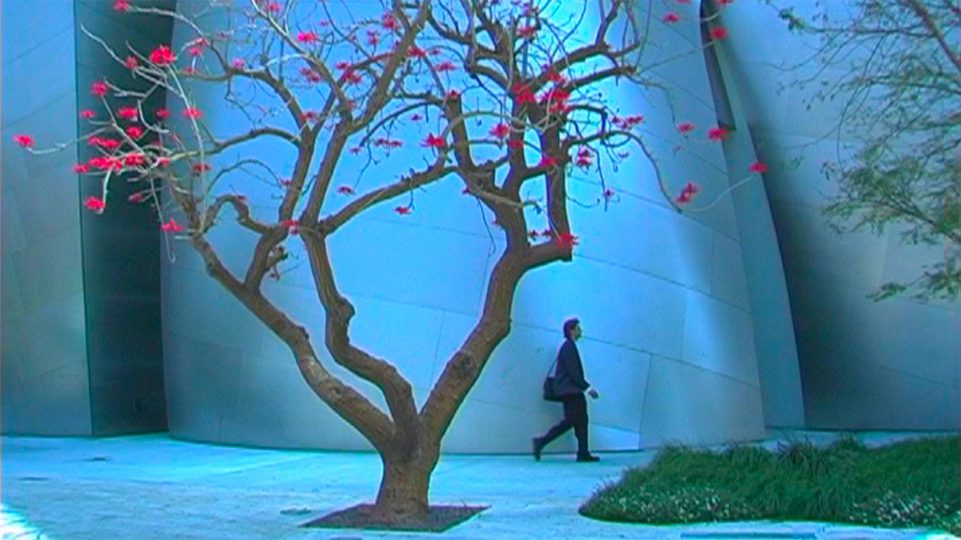 Backdrop