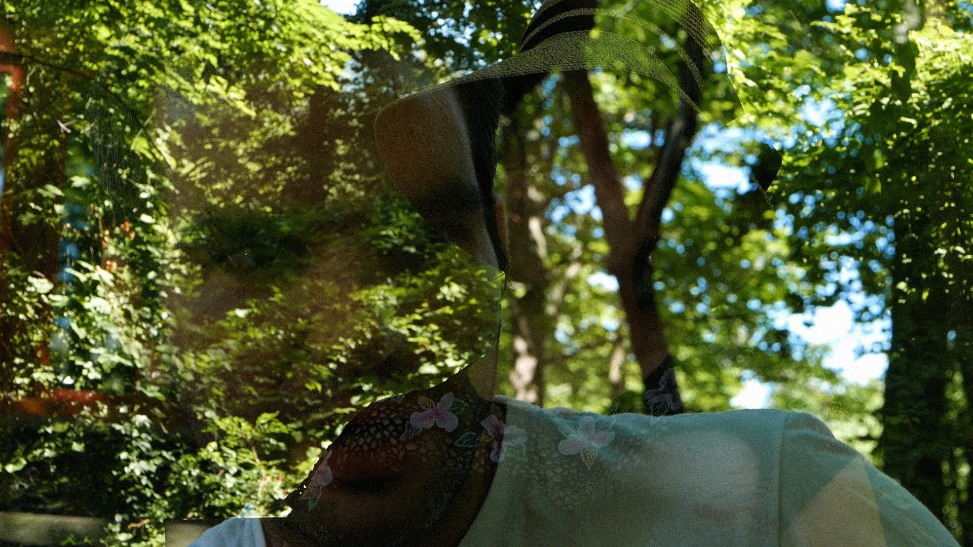 Backdrop