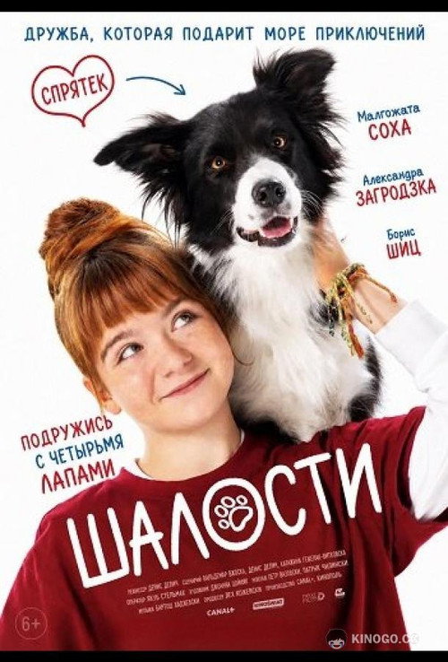 Шалости