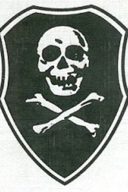 Surnupealuu sõdurid