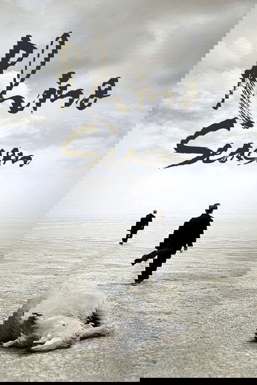 Сезон носорогов