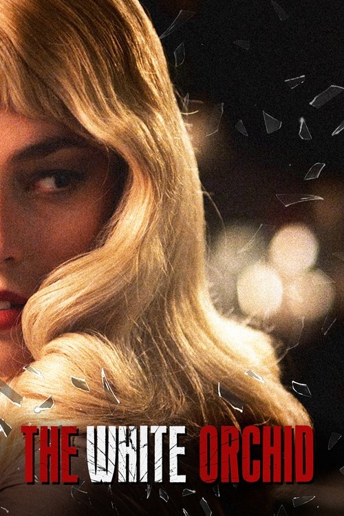 Белая орхидея