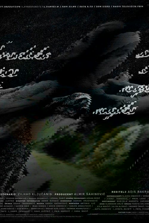 Švedsko srce moje majke