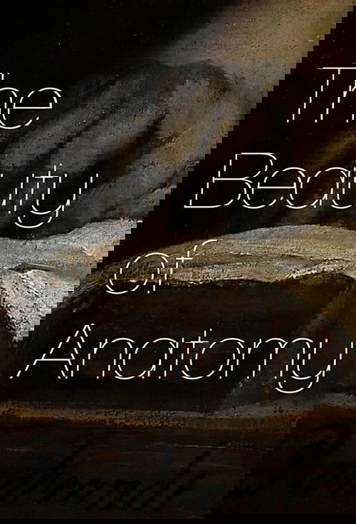 The Beauty of Anatomy