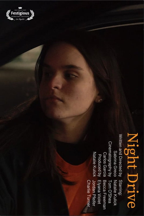 Night Drive