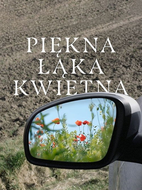 Piękna łąka kwietna