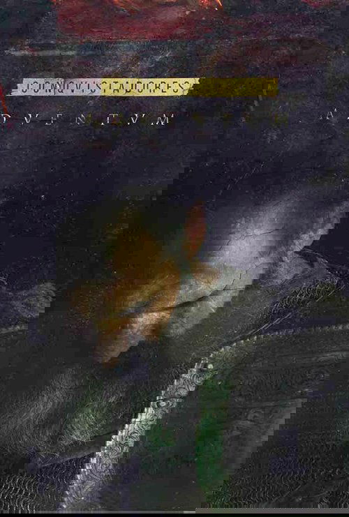 Завоеватели