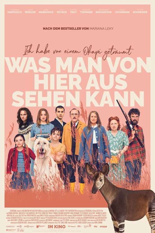 Что видно отсюда