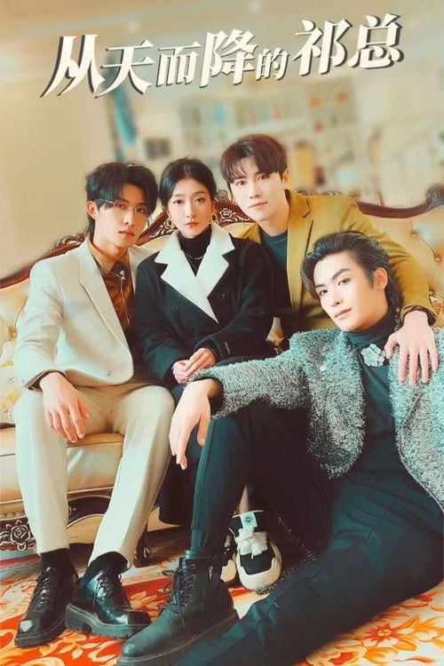 Мистер Ци спустившийся с неба