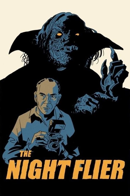 Ночной полет