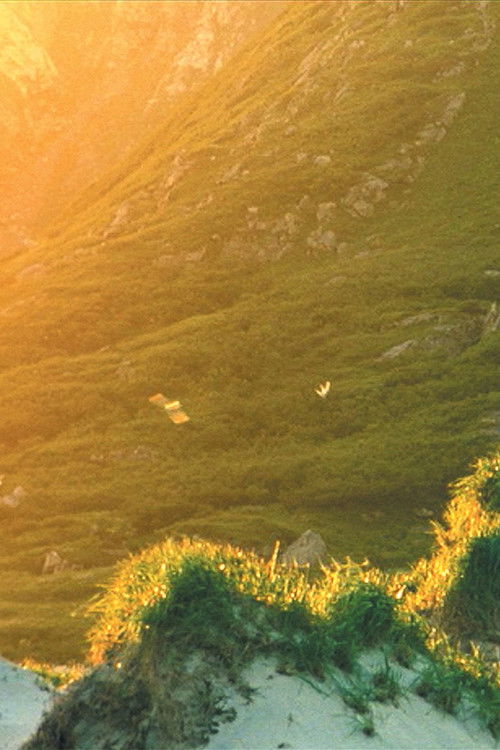 El Sueño de una cosa