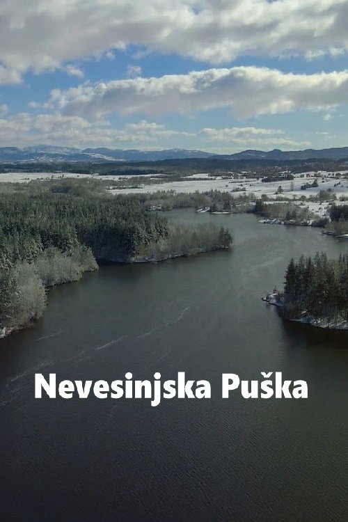 Nevesinjska puška